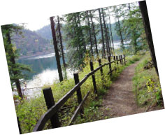 Decidí dar un paseo por la naturaleza.