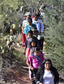 line of hikers in brush